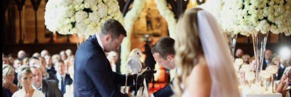 Flyingtheknot's profile banner image