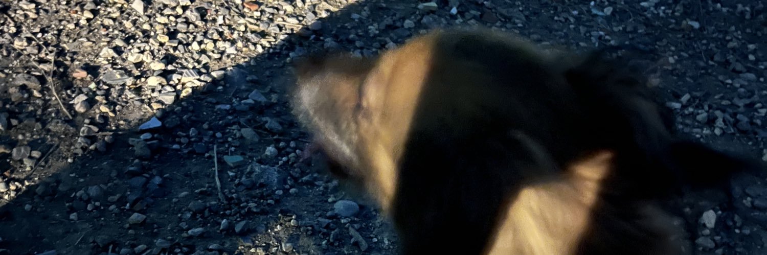 andreishere13's profile banner image