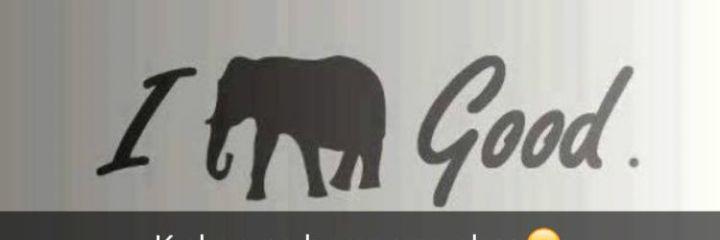 velicanfacar's profile banner image