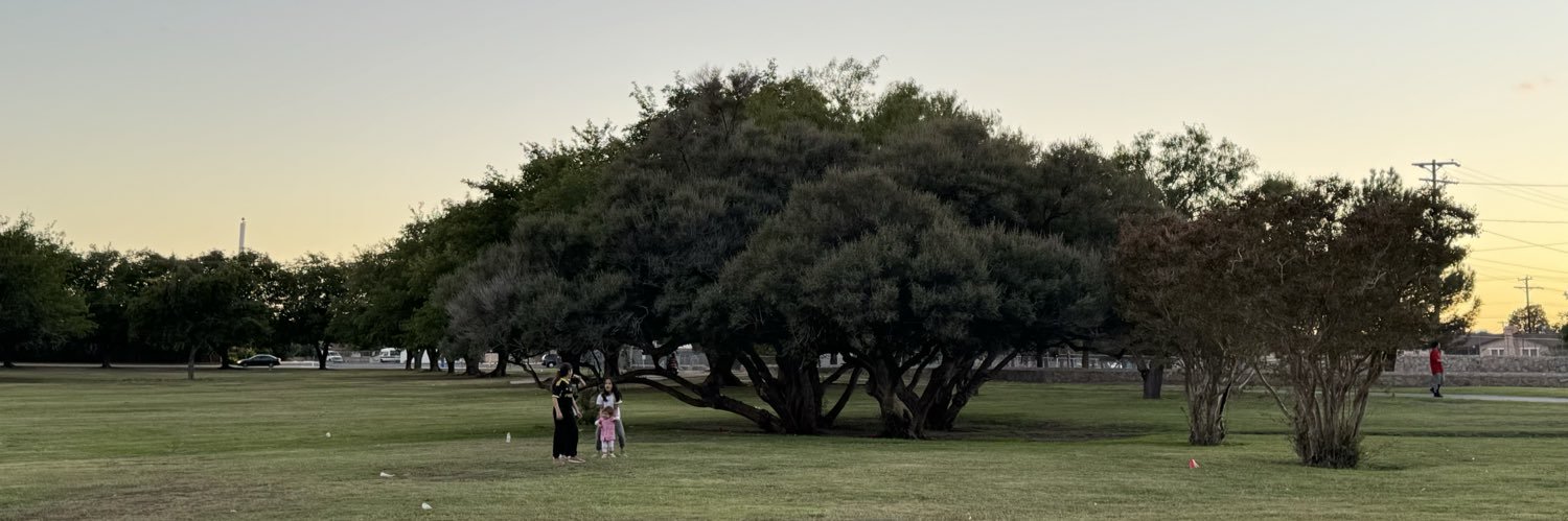 saydin19's profile banner image