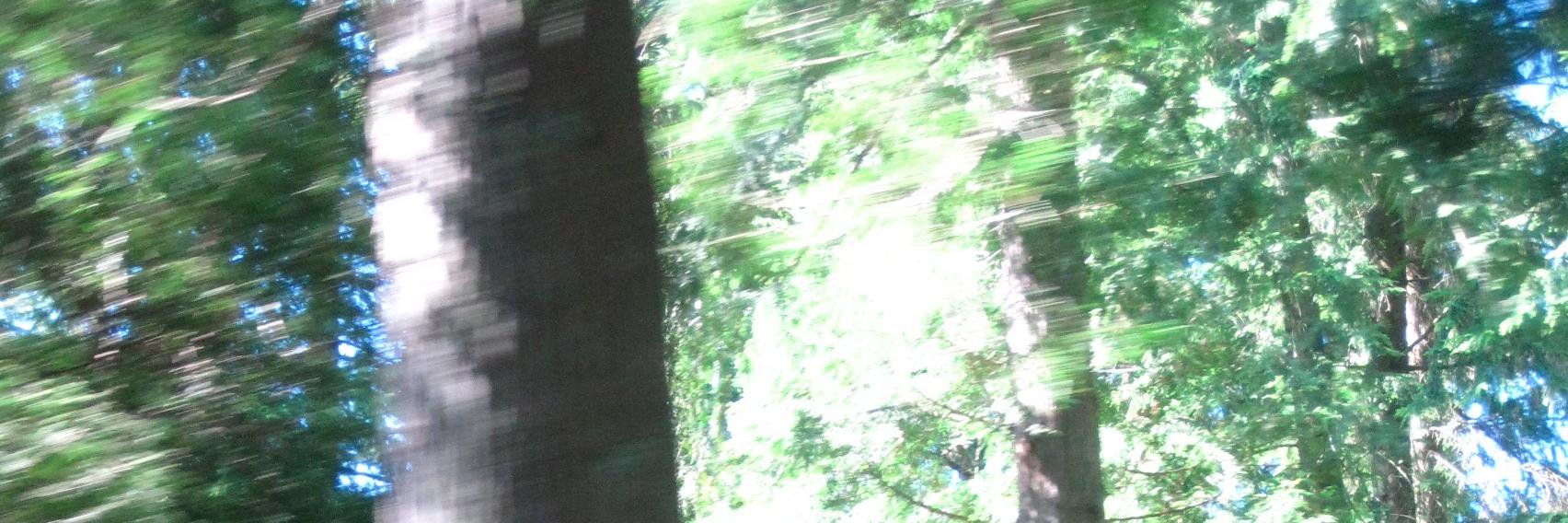 barbarawestern's profile banner image