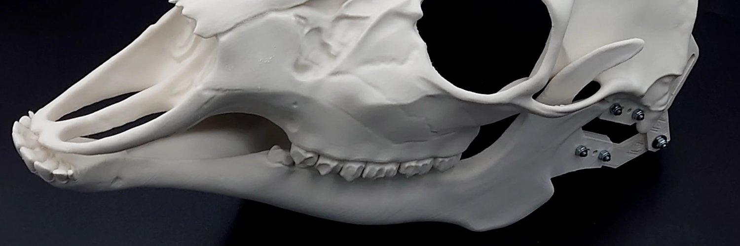 0xTeddy_'s profile banner image