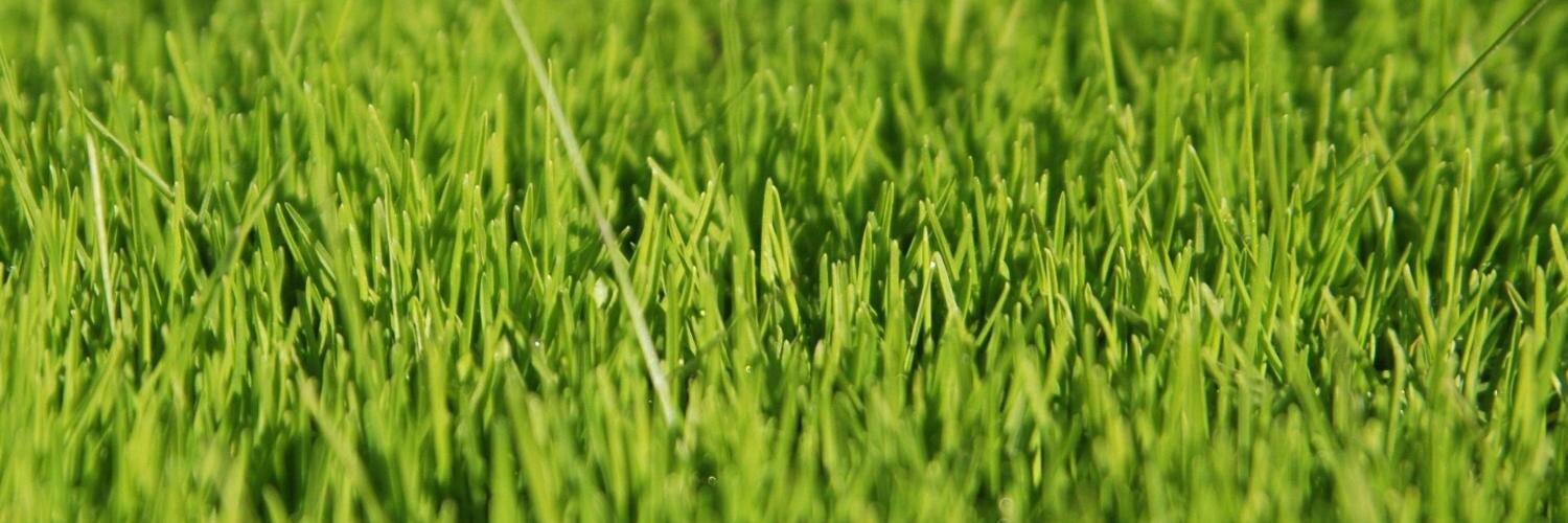 ecolKo's profile banner image