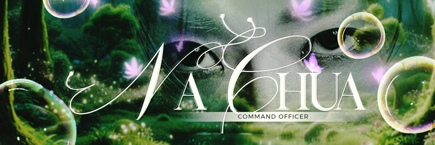 COMMANDS OFFICER、 NA CHUA .ᐟ banner