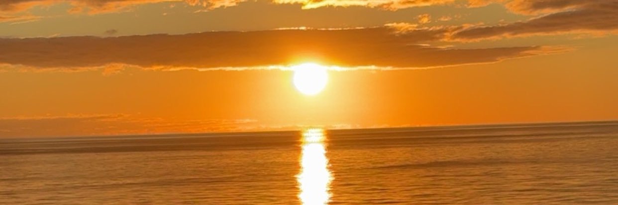 AnnaSimmerman's profile banner image
