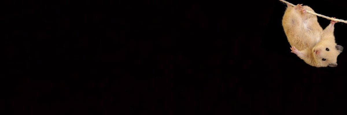 ldk_wtd's profile banner image