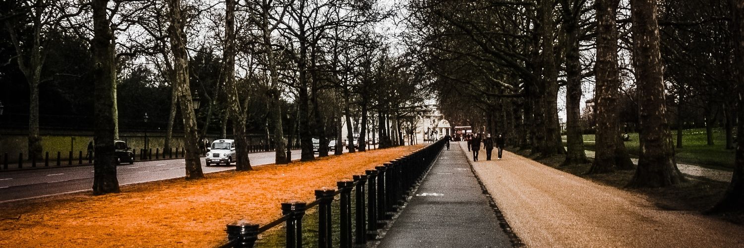 codesecrecy's profile banner image