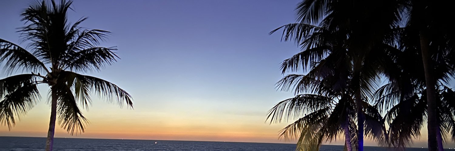 LM11mex's profile banner image