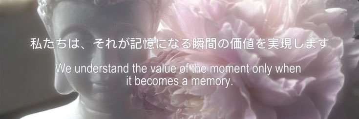 Nanellvcat's profile banner image