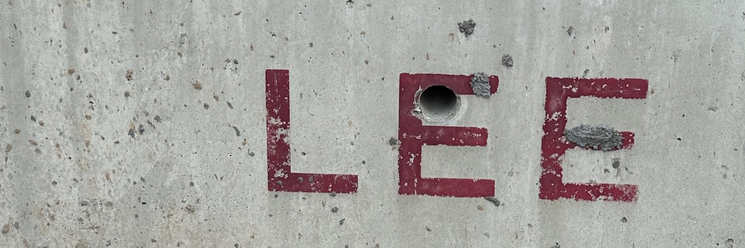 Lee 🇺🇸's banner
