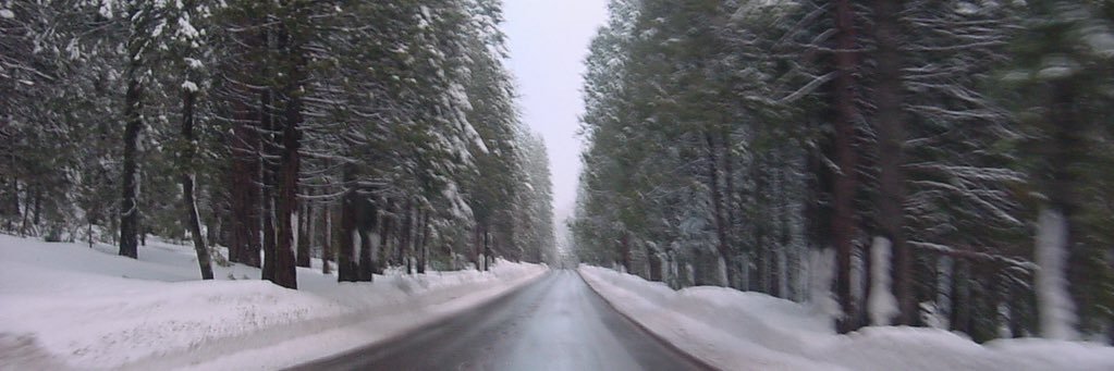 Rusty_Shackleford banner