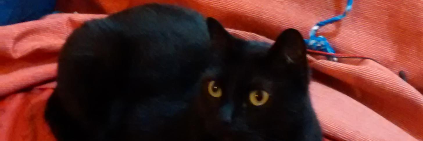 drpardito666's profile banner image