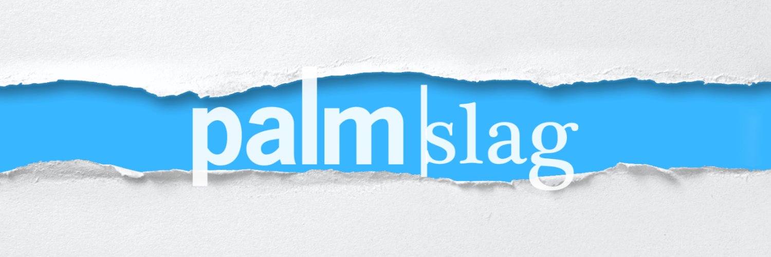 Palmslag's profile banner image