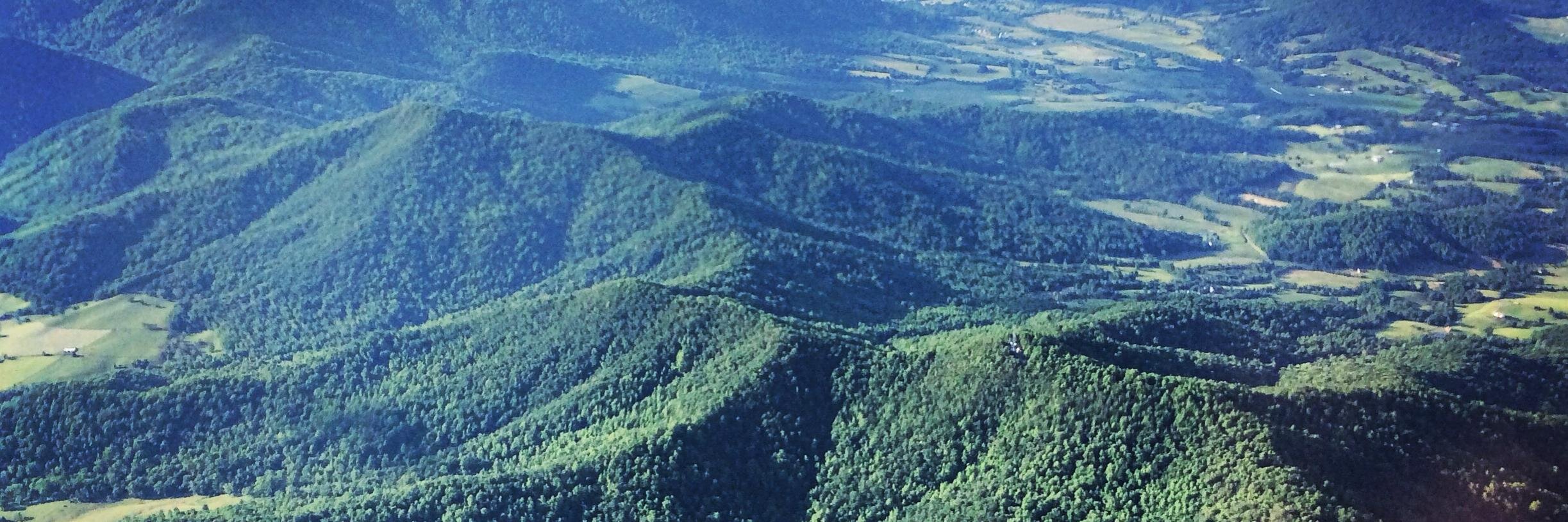 Ryan Williams banner