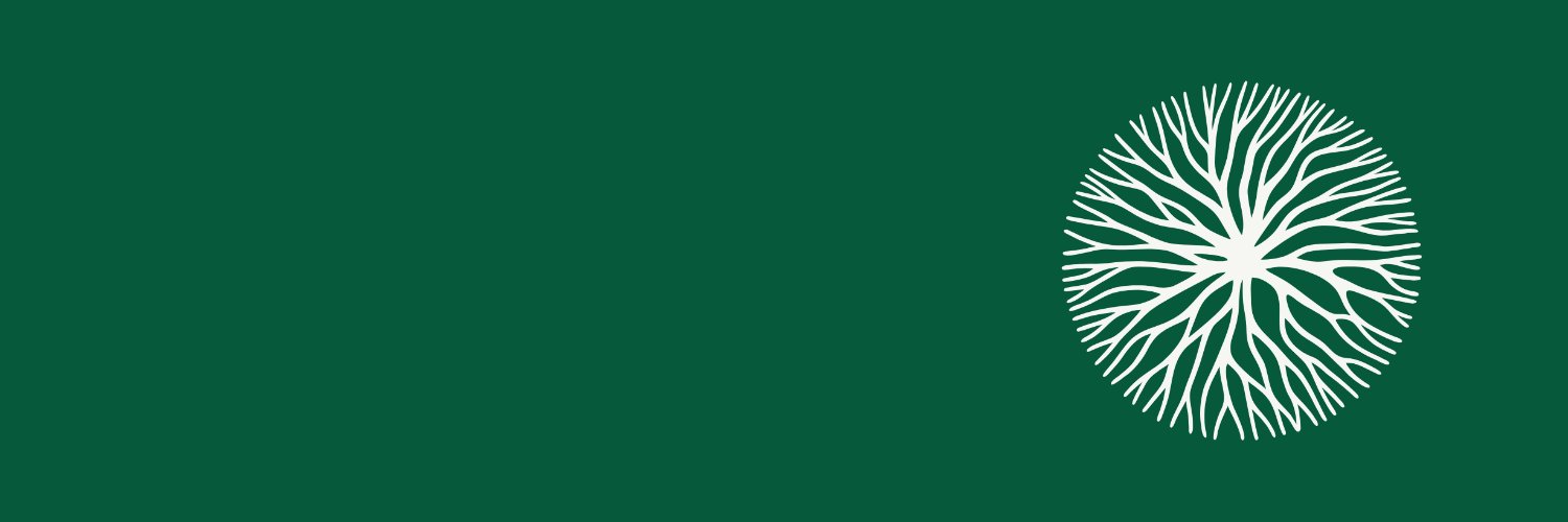 Zephyr Zoidis banner