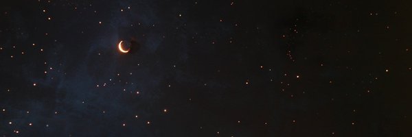 handbidexterous Profile Banner