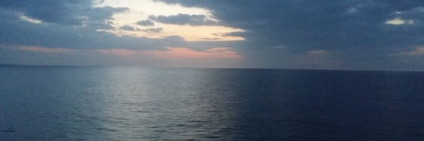 aokweaver Profile Banner