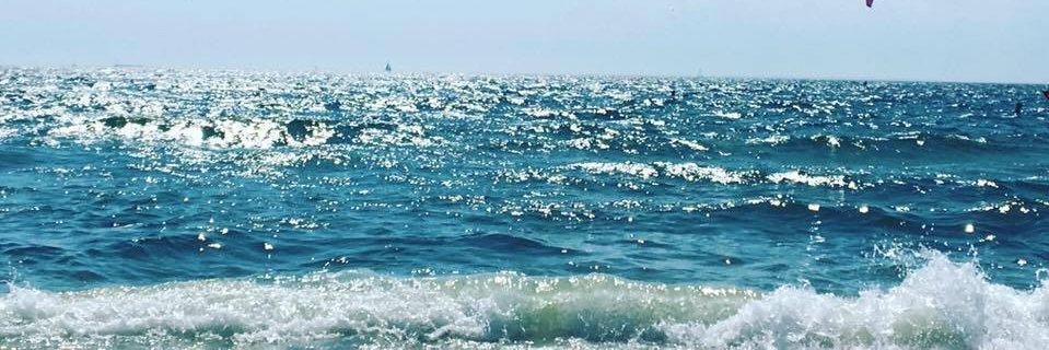 Nicole Zamore (Davies) banner