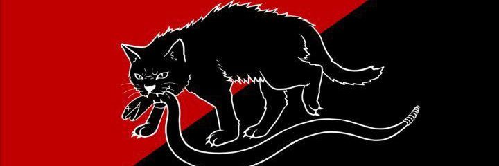 PituBodom's profile banner image