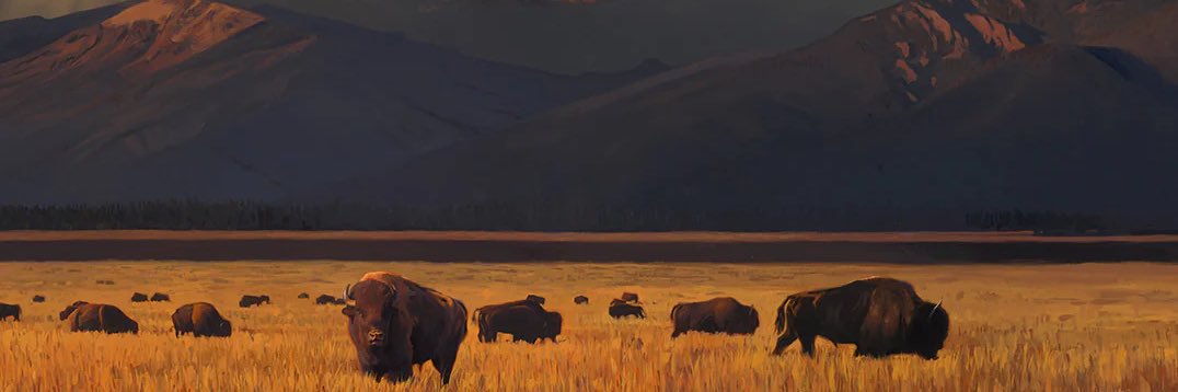 WealthBarron's profile banner image