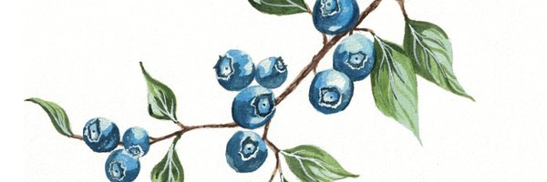 EmpyrealSaskya Profile Banner