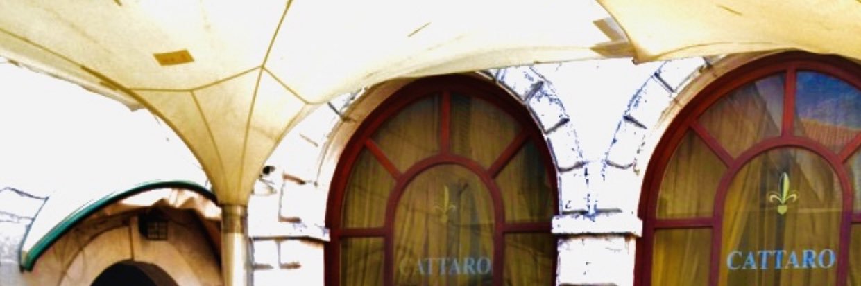 zincleadore's profile banner image