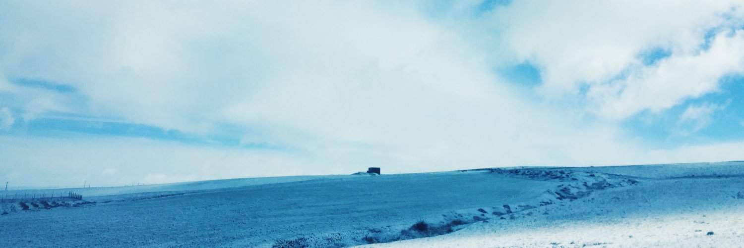 bernacee's profile banner image