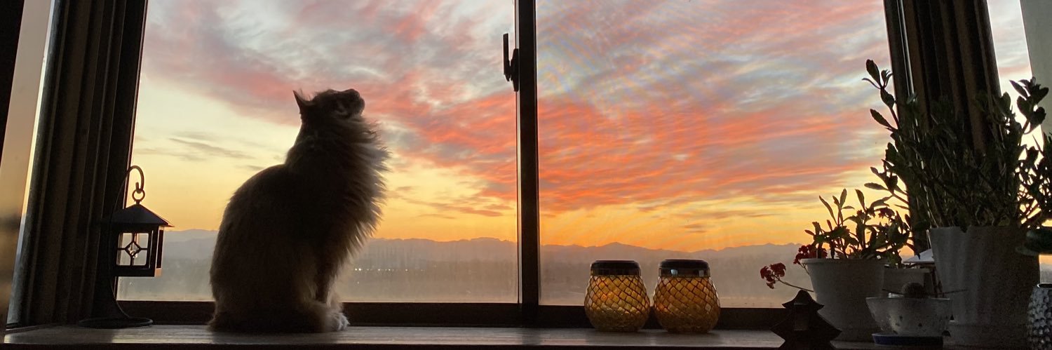 ぴょんたママ banner