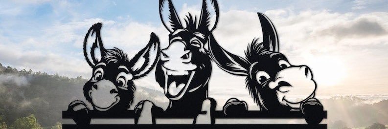 Donkey on sol banner
