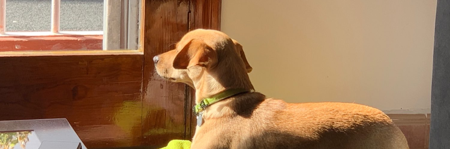 Héctor J. Rodriguez banner