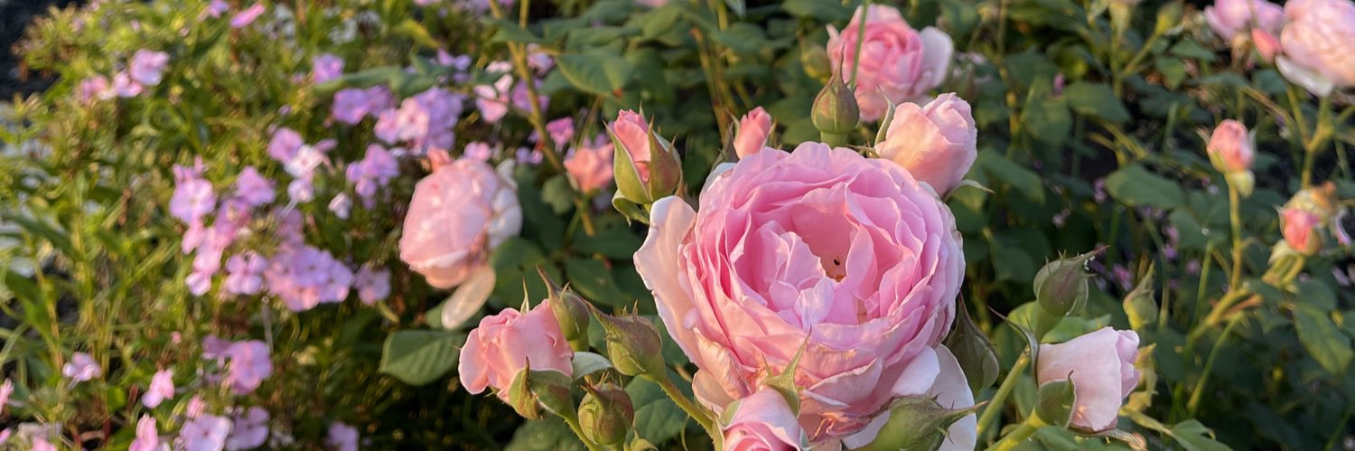 Melissa Thompson Bastin, PharmD, PhD banner