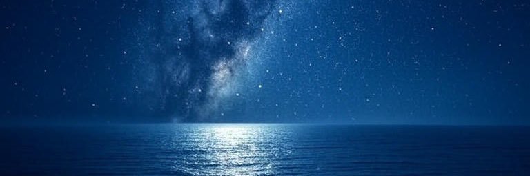 Practically Perfect banner