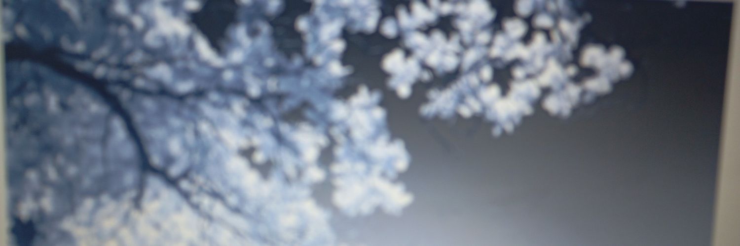 HAROLD GARCIA banner