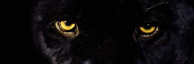 kentanzi's profile banner image