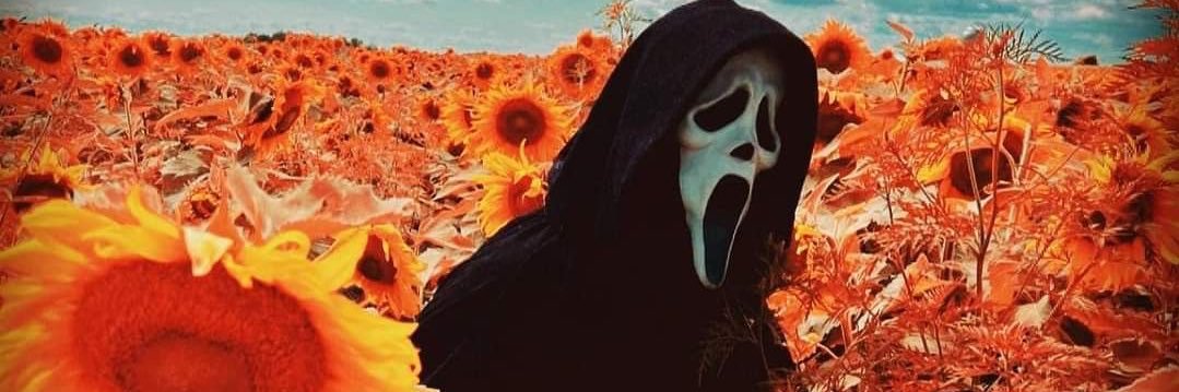 FerZaboo's profile banner image