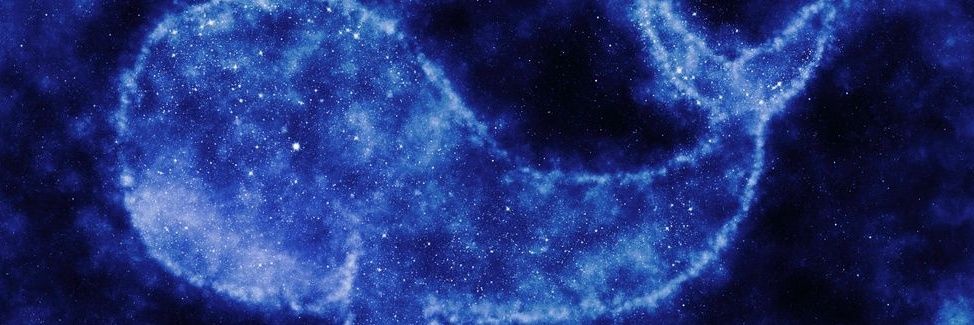 Patatozorusrex's profile banner image