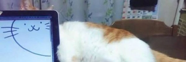 denp4ii Profile Banner