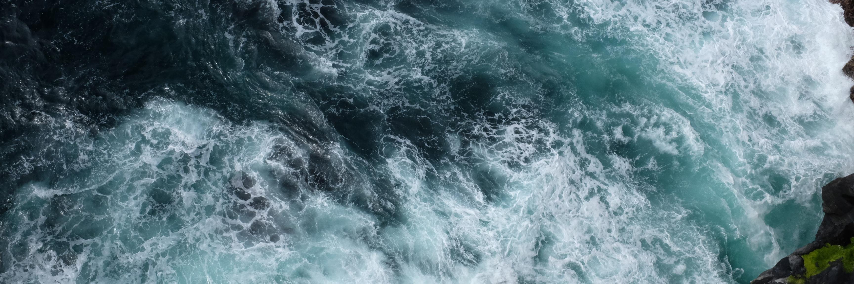 Leonard Doyle banner