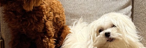 Maricho97 Profile Banner