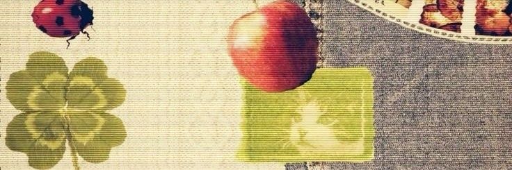 joe 🐛⚘️'s banner