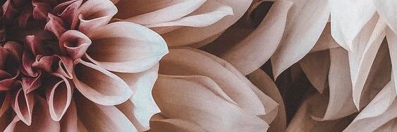 MevrouwtjeMAJO's profile banner image