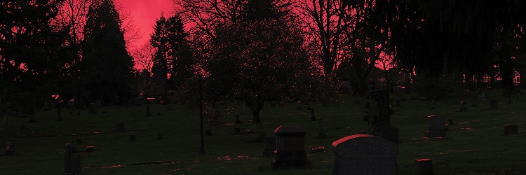 Zomblin_'s profile banner image