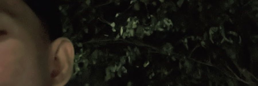 DeapoolB53333's profile banner image