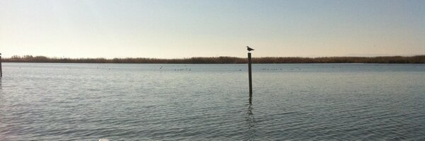 munozbosch Profile Banner