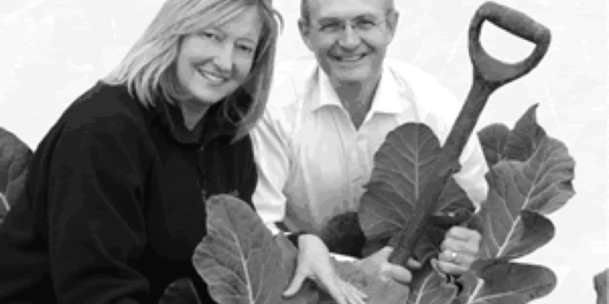 Duffys_Budgens's profile banner image