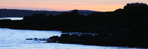 BayofFundyEP Profile Banner