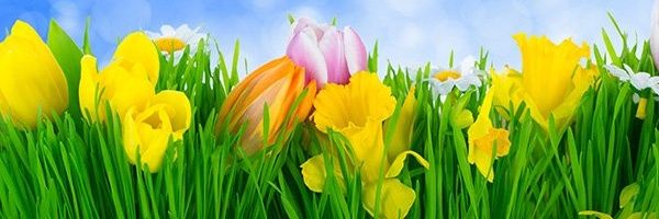 SH_Ahdal's profile banner image
