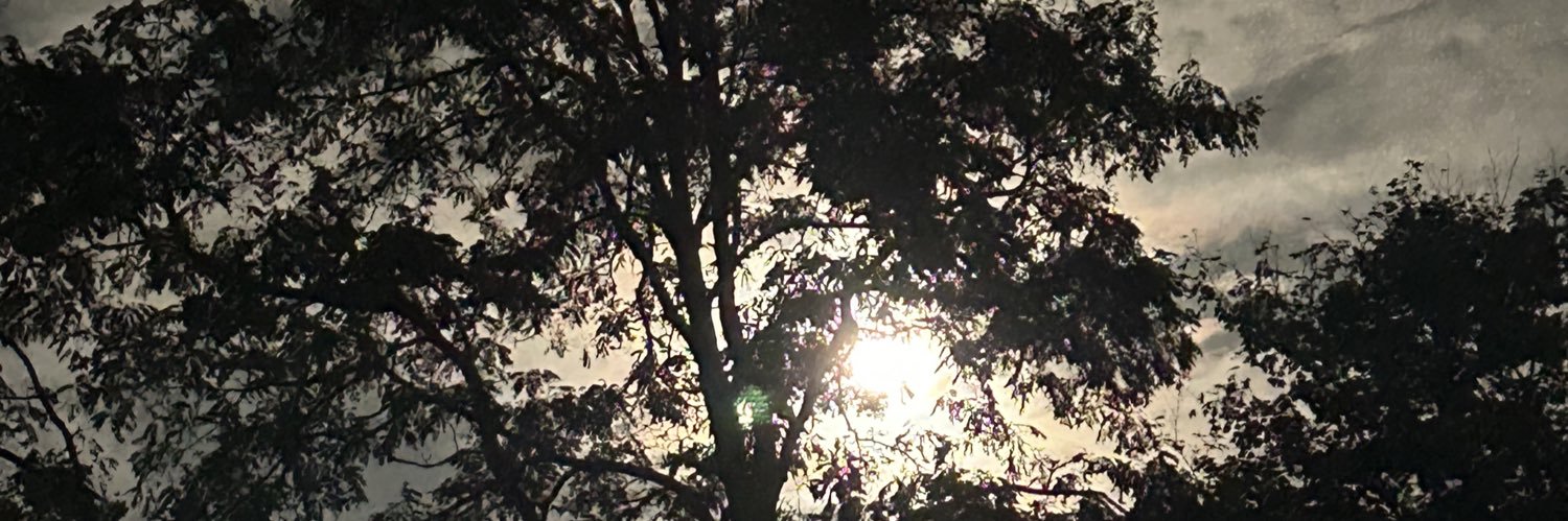brainmusic's profile banner image