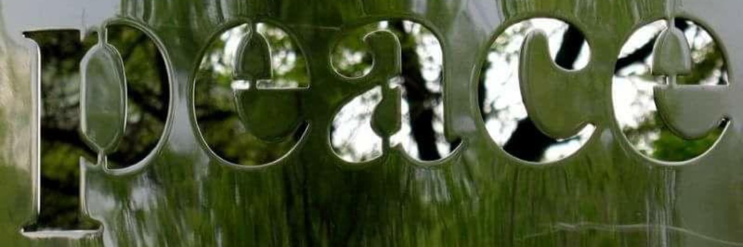 ResistingInCLT's profile banner image