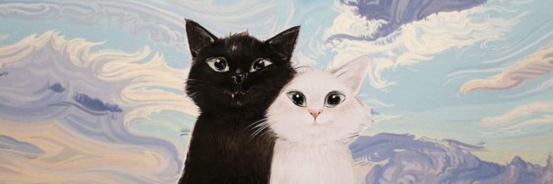 Tidee banner
